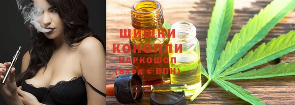 спиды Новодвинск