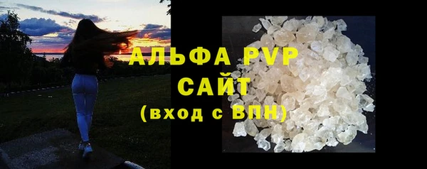 PSILOCYBIN Новокубанск