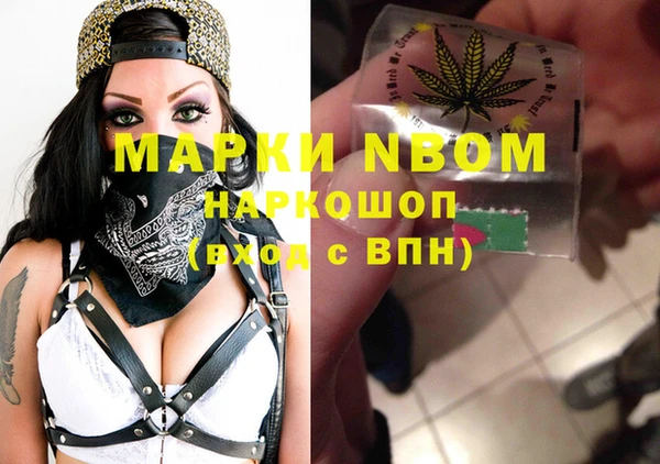PSILOCYBIN Новокубанск