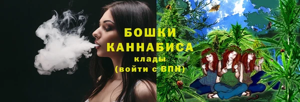 PSILOCYBIN Новокубанск